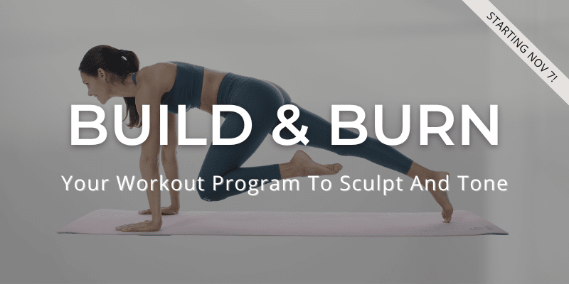 Build and Burn Banner